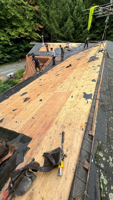 Asphalt Roof Replacement: What To Expect